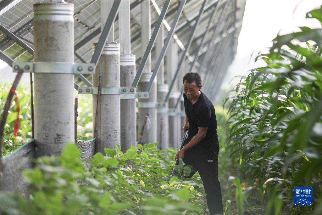 金沙国际唯一官网